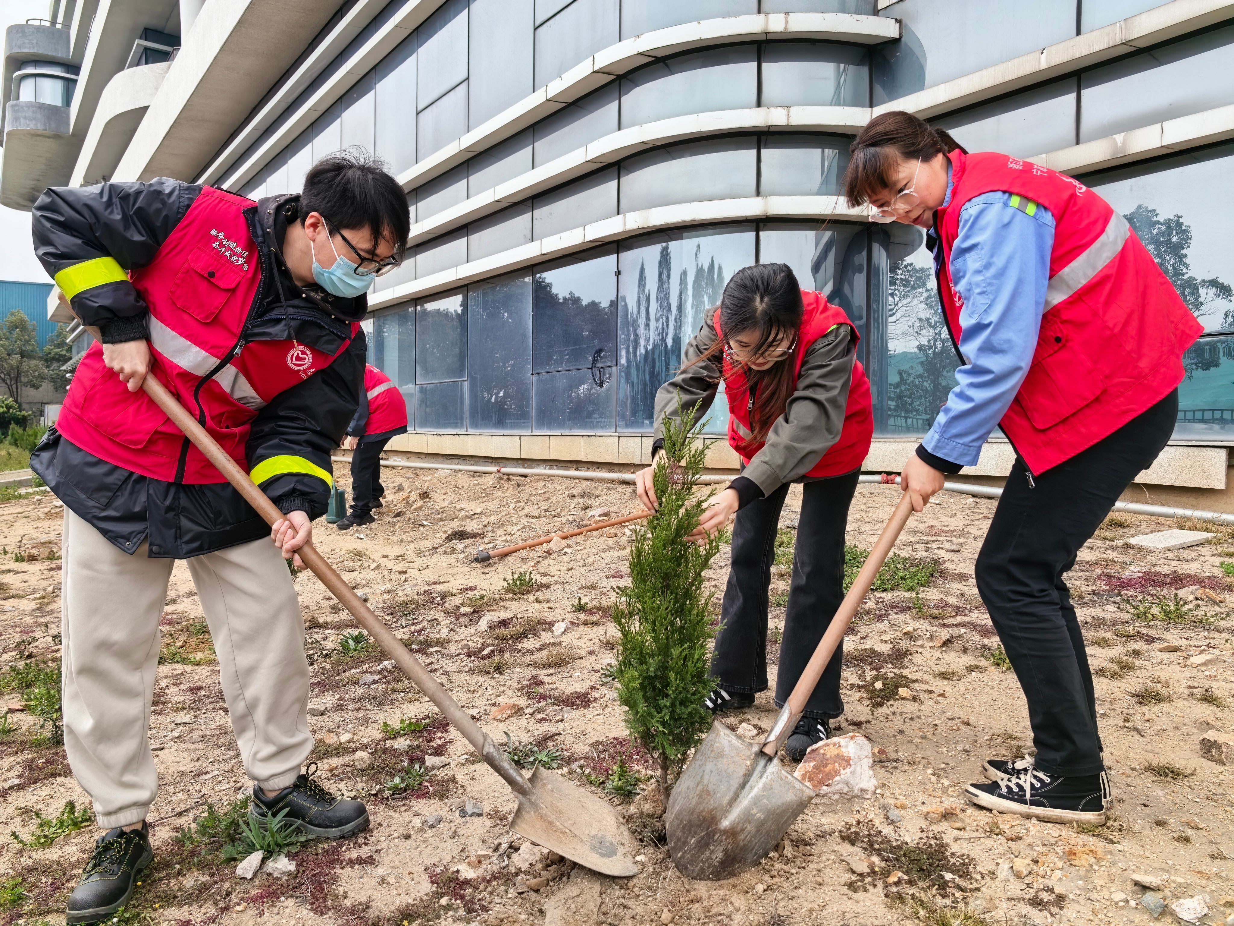 温州港乐清湾港务有限公司开展港区绿化环境清洁志愿活动